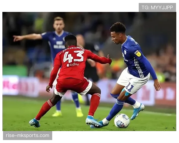 布赖顿海鸥强势崛起，稳步攀升英超积分榜