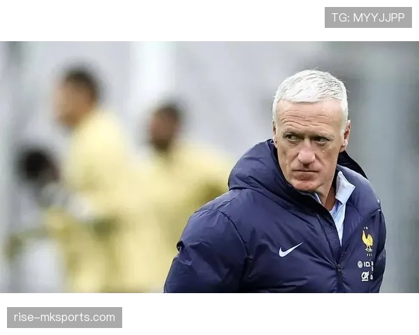 法国萨利巴阿森纳铁卫